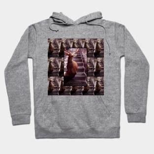 Deer on an escalator Hoodie